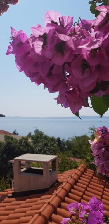 Summer Lounge Apartment Trogir Dış mekan fotoğraf